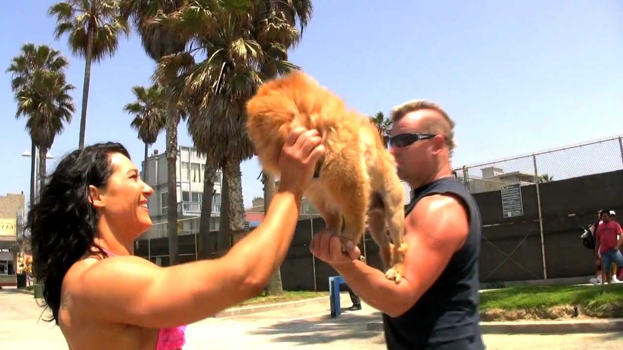 Alina Popa Venice Beach Video