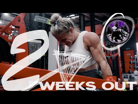 Meg Sylvester Push Day Workout Video