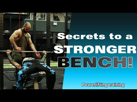 squats and bench powerlifting focus